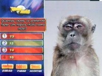 milhao20macaco1zy6.jpg
